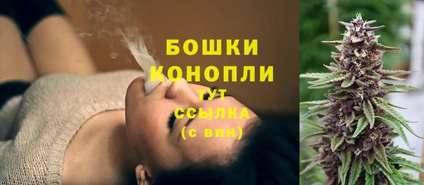 дурь Арсеньев
